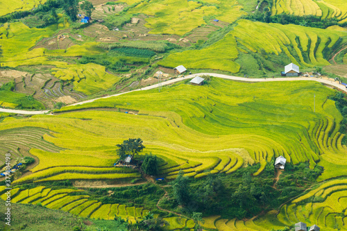 Amazing Rice fields on terraced in rainny seasont at TU LE Valley, Vietnam.Tu Le is a small valley but has beautiful terraces all year round. An attractive tourist destination 250km form Hanoi.