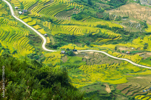 Amazing Rice fields on terraced in rainny seasont at TU LE Valley, Vietnam.Tu Le is a small valley but has beautiful terraces all year round. An attractive tourist destination 250km form Hanoi.