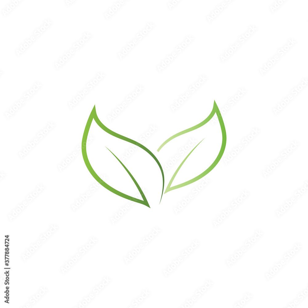Leaf Mint Logo Template vector symbol