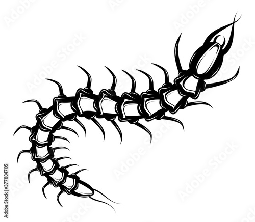 Leinwand Poster Decorative tattoo with centipede insect