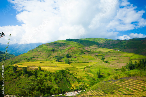 Amazing Rice fields on terraced in rainny seasont at TU LE Valley, Vietnam.Tu Le is a small valley but has beautiful terraces all year round. An attractive tourist destination 250km form Hanoi.