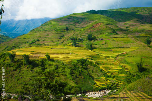 Amazing Rice fields on terraced in rainny seasont at TU LE Valley, Vietnam.Tu Le is a small valley but has beautiful terraces all year round. An attractive tourist destination 250km form Hanoi. photo