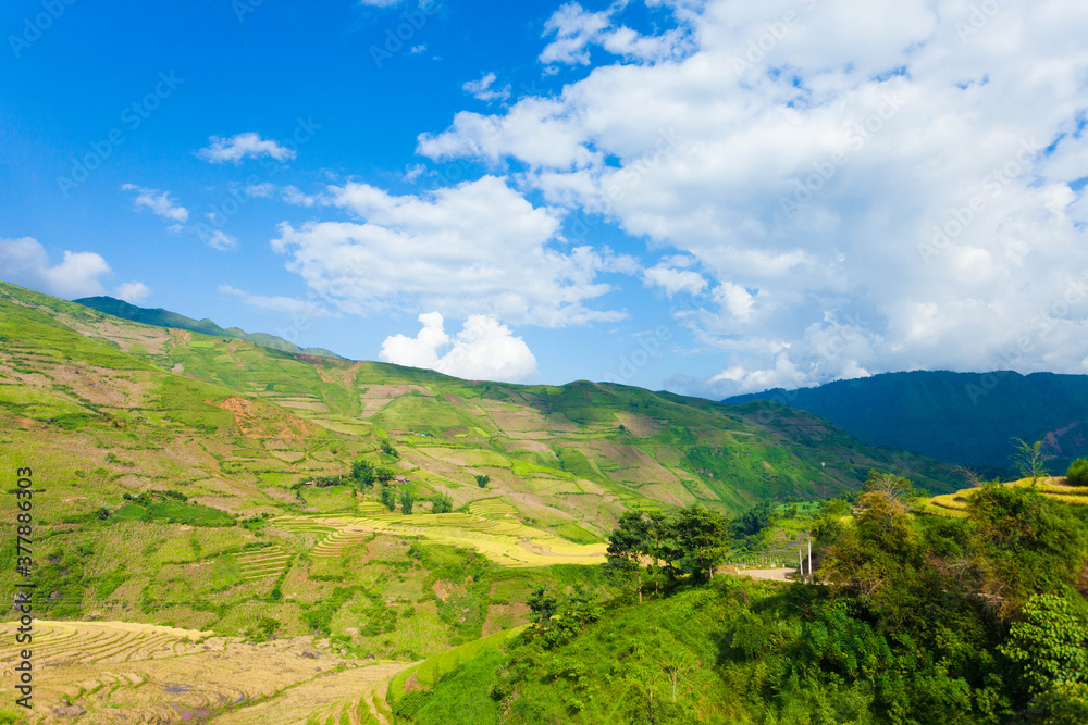 Naklejka premium Amazing Rice fields on terraced in rainny seasont at TU LE Valley, Vietnam.Tu Le is a small valley but has beautiful terraces all year round. An attractive tourist destination 250km form Hanoi.