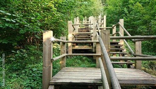 Wooden bridge up in the forest