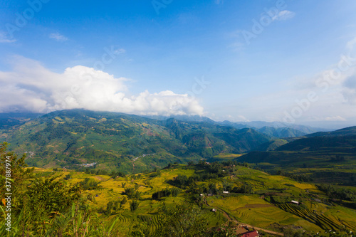 Laocai Vietnam Vietnam Paddy fields, terraced culture, Sapa, Vietnam