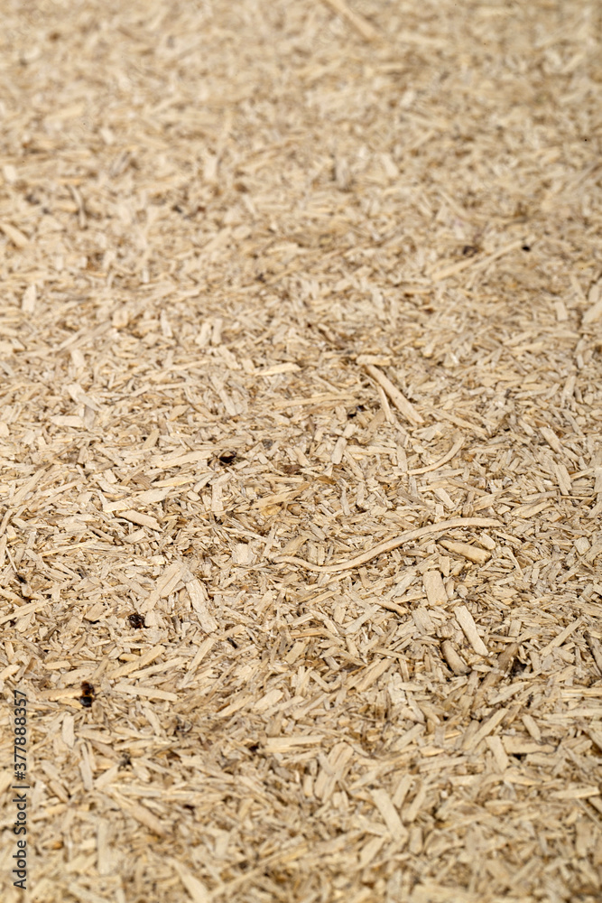 Detail of chipboard . Recycling. Cradlle to cradle. Sustainability. Detail of chipboard . Recycling. Cradlle to cradle. Sustainability.