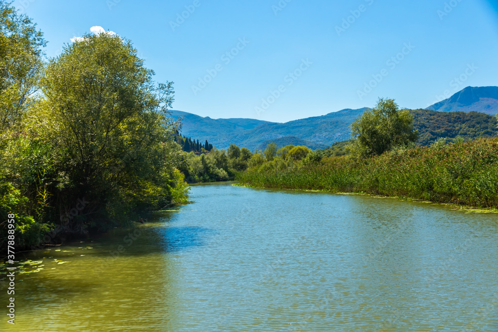Narrow shallow long river on a sunny day, Skadar Lake National Park in Montenegro Narrow shallow long river on a sunny day, Skadar Lake National Park in Montenegro
