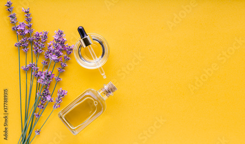 Set lavender oil, skincare cosmetics products. Natural spa beauty products fresh lavender flower herbs on yellow background. Lavender essential oil serum in glass bottle. Long web banner copy space photo