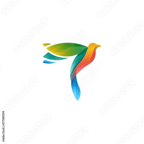  Modern Abstract Colorful Flying Bird Hawk Phoenix Falcon Logo DesignVector