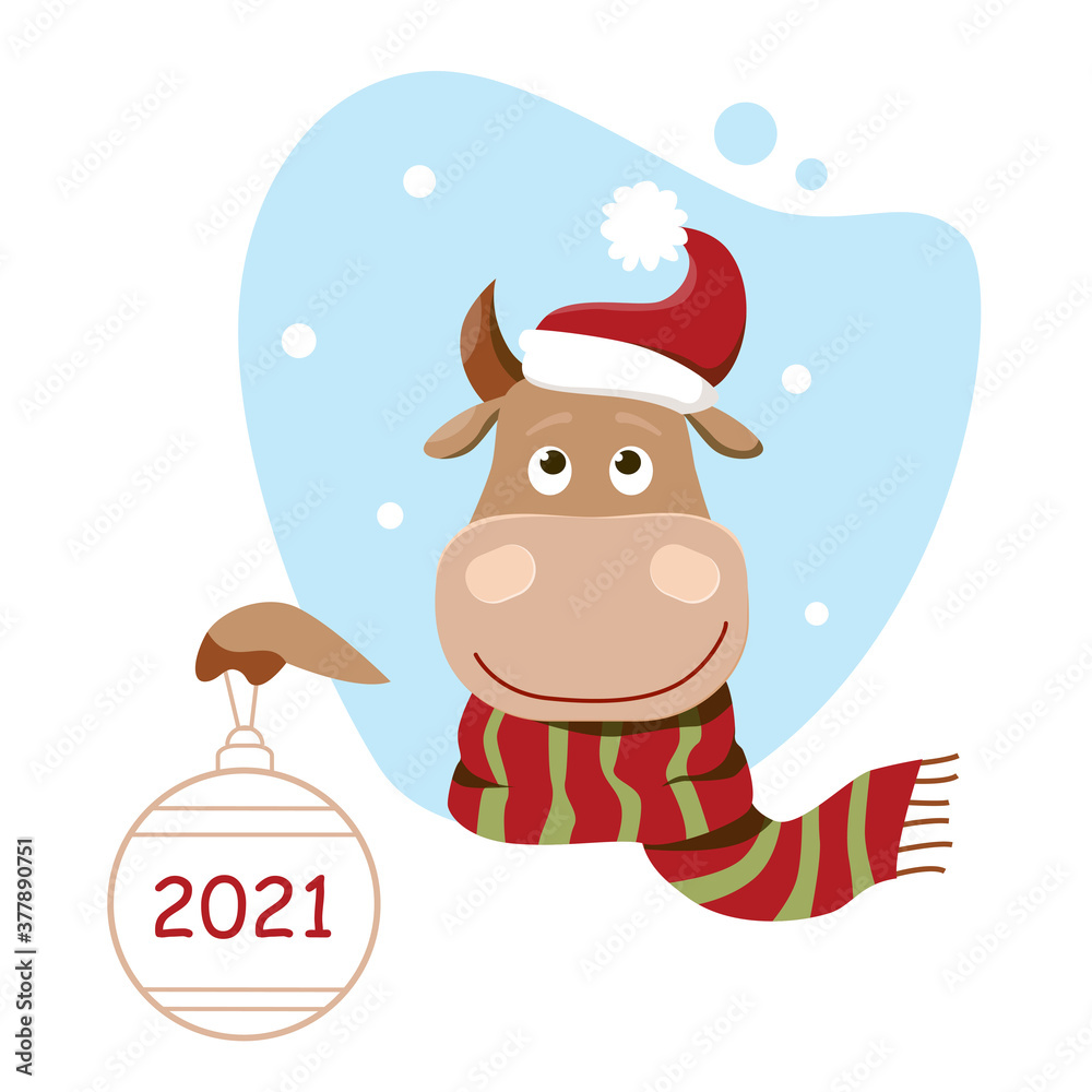 Vector funny cartoon cow in Santa hat. Cute bull holds a christmas ball. A symbol of 2021 year. Winter holiday background. Vector funny cartoon cow in Santa hat. Cute bull holds a christmas ball. A symbol of 2021 year. Winter holiday background.