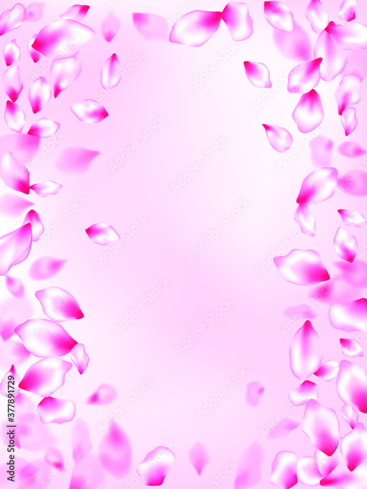 Pink sakura petals confetti flying and falling on rose color background. Blured texture elements. Pastel pink blossom petals floral design. Flower blossom parts romantic love vector pattern.
