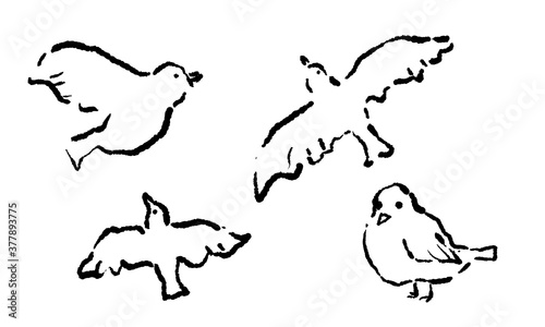 Fashionable bird vector line drawing