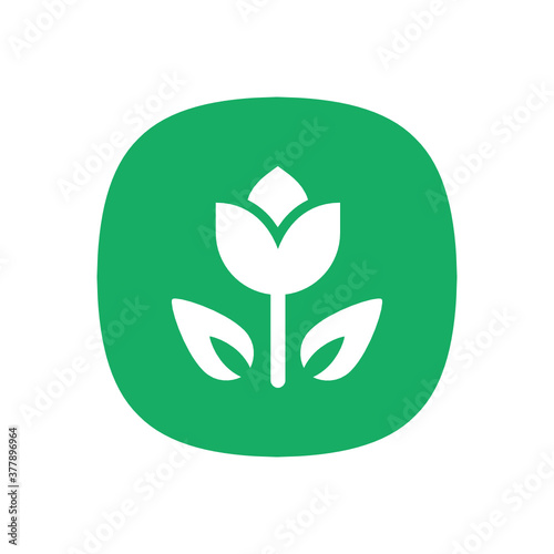 Flower - Icon