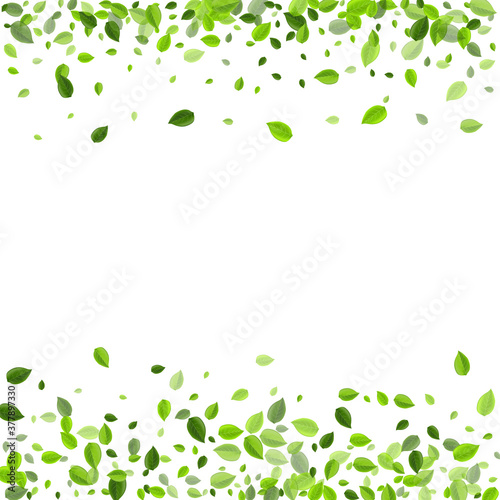 Green Leaves Wind Vector Wallpaper. Nature Greens 