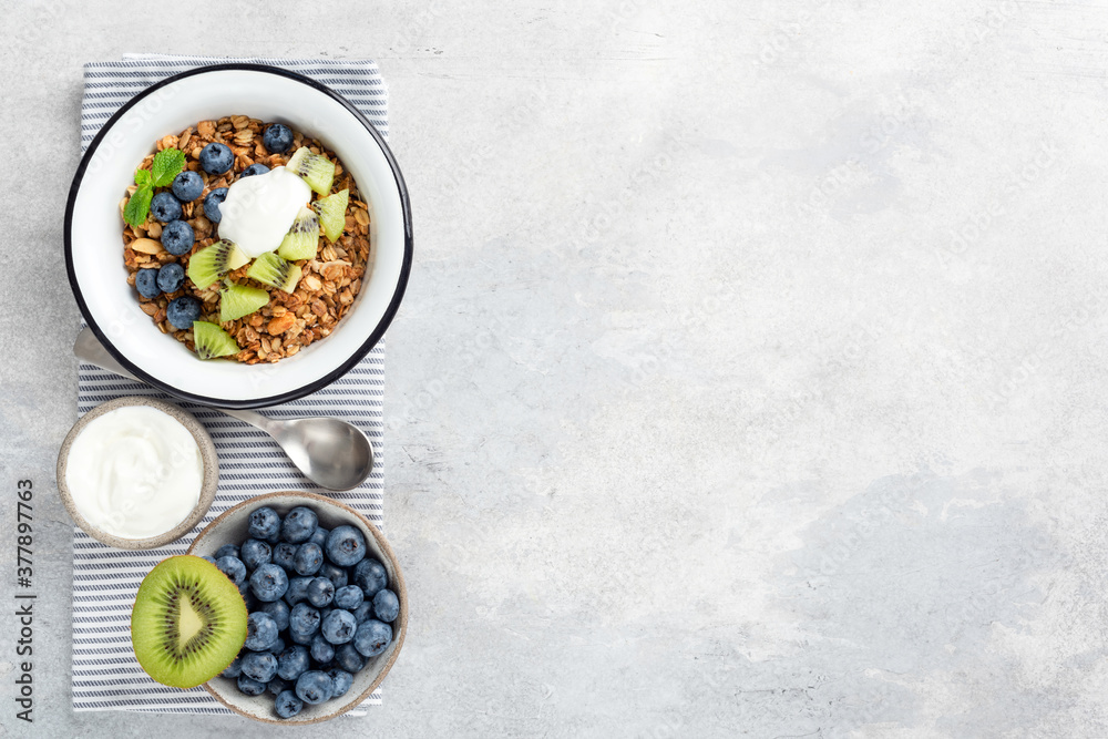 Granola bowl with fruits and yogurt on grey concrete background. Top view, copy space. Healthy eating, sustainable lifestyle concept Granola bowl with fruits and yogurt on grey concrete background. Top view, copy space. Healthy eating, sustainable lifestyle concept