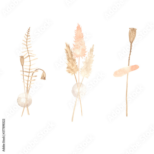 Watercolor bouquets of dried flowers. Great for printing, textile, web design, souvenir products and other applications.