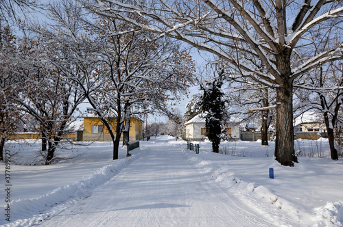 snowy winter in rural village Backi Petrovac, Vojvodina © Jana