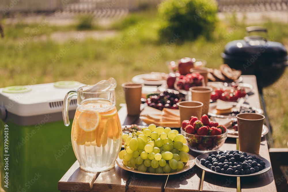 Photo of served breakfast picnic table family gathering ice bag plastic glasses grapes blueberry vegetables sandwich orange juice barbecue sunny summertime green home park backyard outside