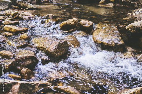 Mountain River Stream Through Summer Forest. Clear Water. Day In Nature. Beautiful Landscape