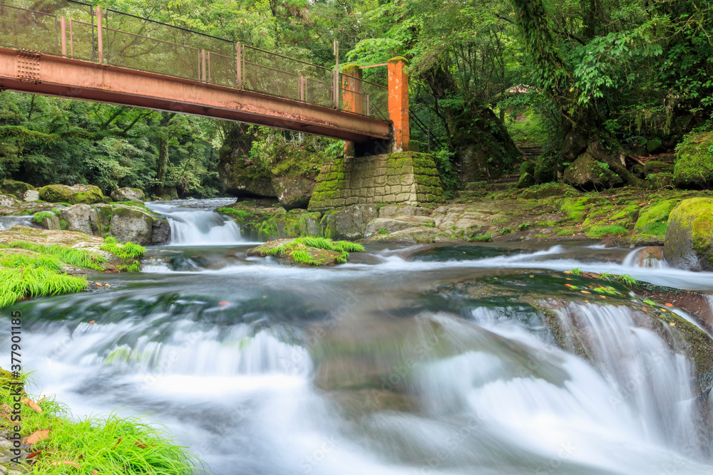夏の菊池渓谷 広河原 熊本県菊池市 Kikuchi Canyon in Summer Hirogawara Kumamoto-ken Kikuchi city 夏の菊池渓谷 広河原 熊本県菊池市 Kikuchi Canyon in Summer Hirogawara Kumamoto-ken Kikuchi city