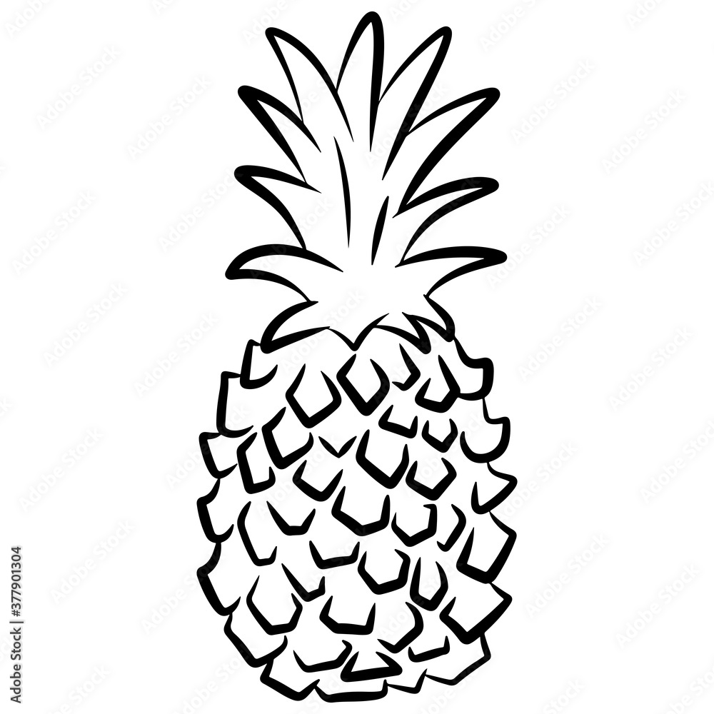 Pineapple. Hand drawn vector illustration in doodle style, isolated on a white background. Pineapple. Hand drawn vector illustration in doodle style, isolated on a white background.