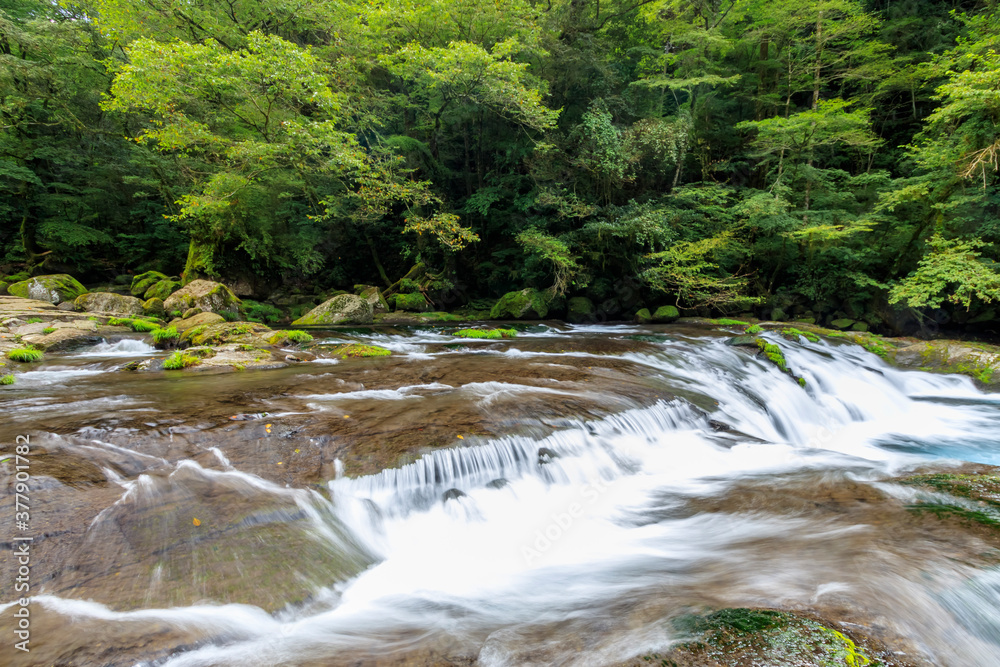 Obraz premium 夏の菊池渓谷 広河原 熊本県菊池市 Kikuchi Canyon in Summer Hirogawara Kumamoto-ken Kikuchi city