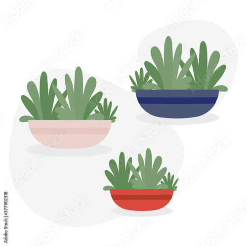 Beautiful pottery plant on white background vector illustration flat design 