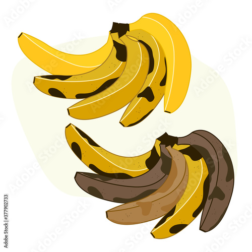 Bananas set on white background vector illustration cartoon flat design modern style