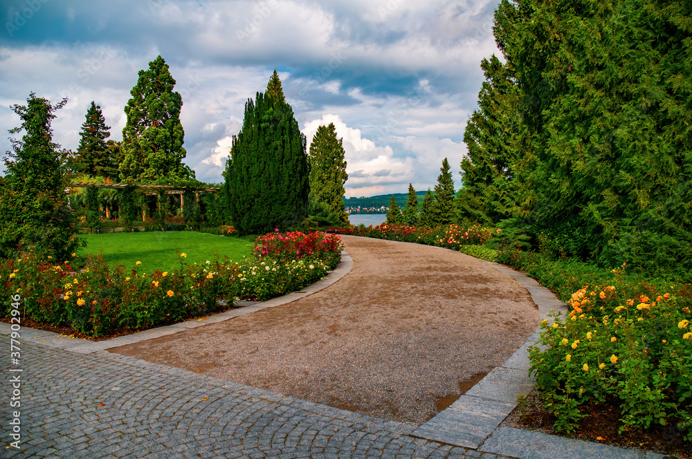 Picturesque alley along blooming roses in Italian Rose Garden on Flower Island Mainau on the Lake Constance, Germany