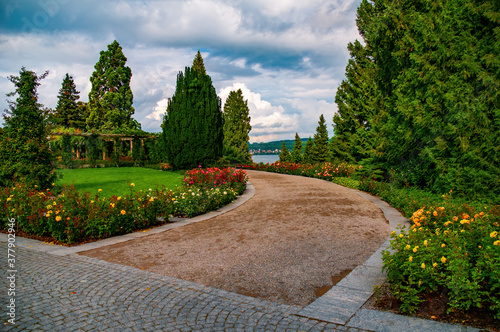 Picturesque alley along blooming roses in Italian Rose Garden on Flower Island Mainau on the Lake Constance, Germany