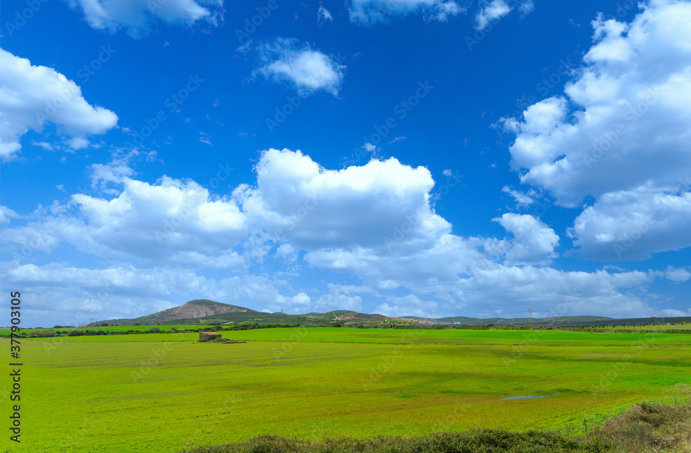 country landscape with a small house with cloudy sky