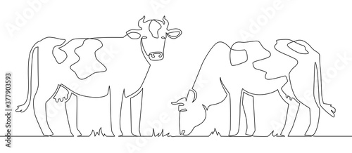 One line cows. Milk cow animal, livestock and beef meat and calf farm continuous line artwork vector concept. Illustration cow, farm mammal one line art