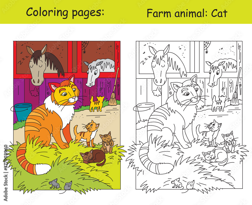 Fototapeta premium Vector coloring and color for children Cat