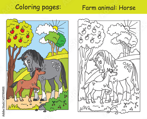 Vector coloring and color for children Horse