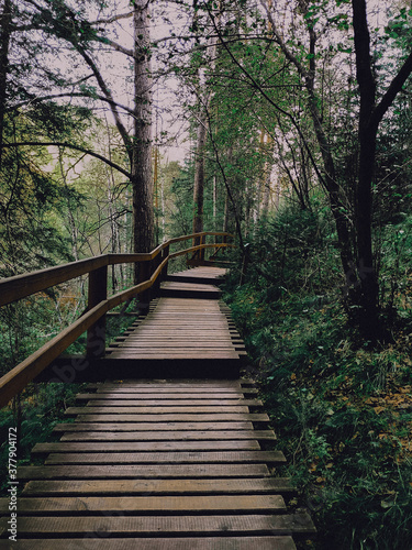 path going into the distance