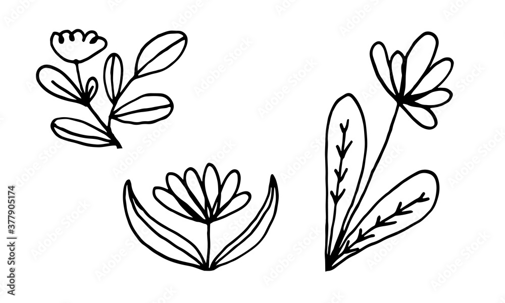 Hand drawn doodle flower illustration. Simple floral element isolated on white background