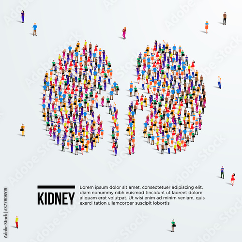 Kidney concept. Large group of people form to kidneys. Vector illustration.
