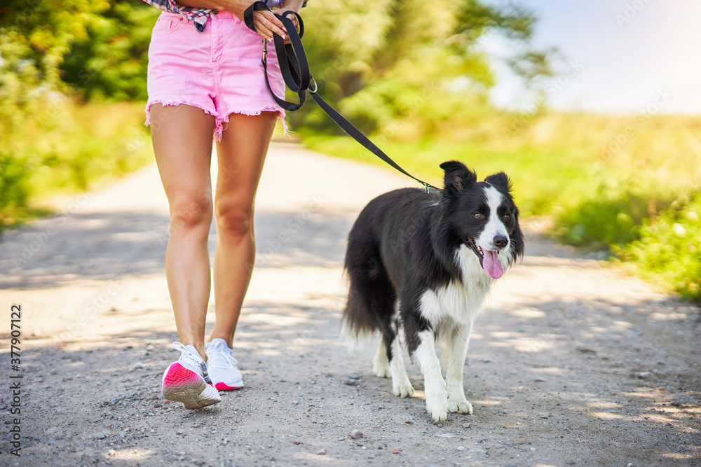 Midsection of woman strolling with her pet at leisure