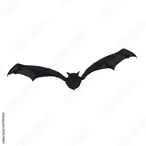 Vector Cartoon Flying Black Bat Illustration.