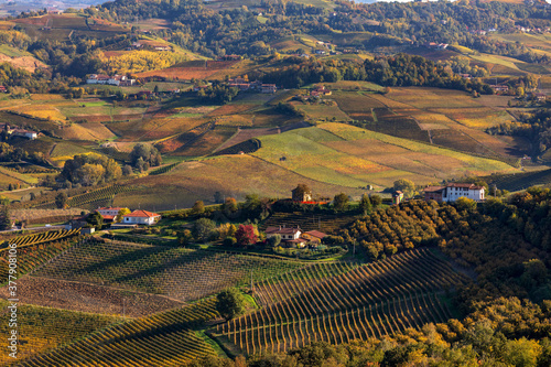 Autumnal vineyards of Piedmont from above.