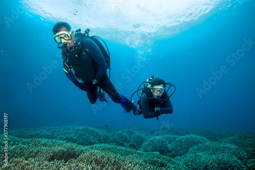 Two divers swim over hard coral garden. © frantisek hojdysz