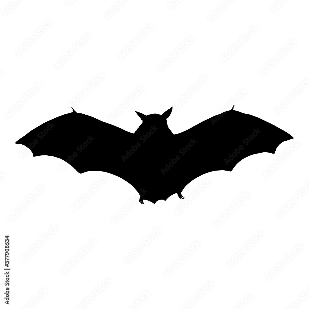 Vector Black Silhouette of Bat Vector Black Silhouette of Bat