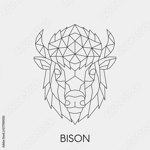 Geometric linear head bison. Abstract polygonal animal. Vector illustration.	
