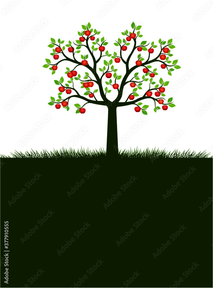 Obraz premium Shape of Apple Tree with leaves. Vector outline Illustration. Plant in Garden.