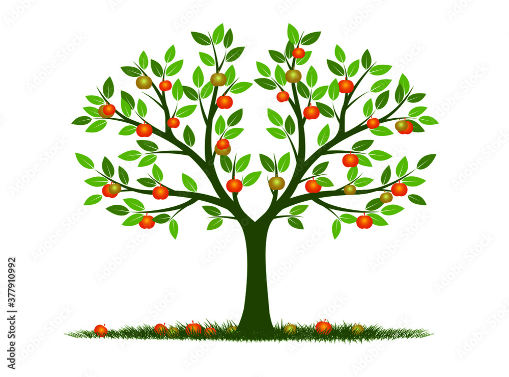 Shape of Tree with leaves. Vector outline Illustration. Plant in Garden.