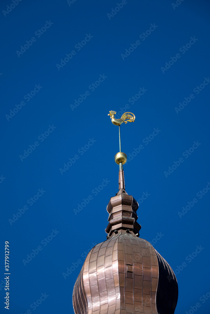 Evangelical Lutheran Riga Dome Cathedral with weather vane 