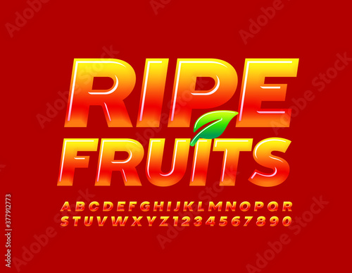 Vector bright logo Ripe Fruits. with Alphabet Letters and Numbers set. Glossy Gradient Red and Yellow Font