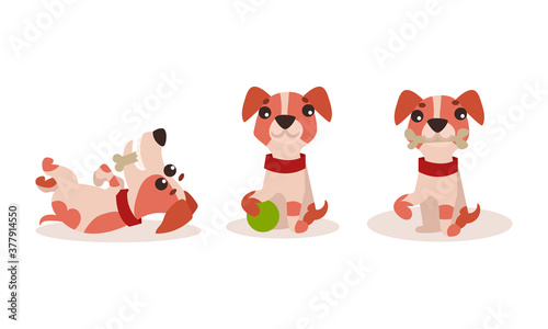 Funny Jack Russell Terrier Character Rolling and Gnawing Bone Vector Set © Happypictures