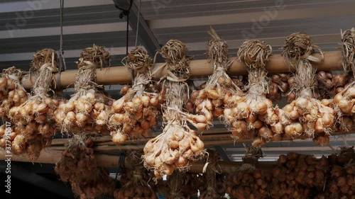 4K Onions hanging on wood in rural kitcken as local keeping method. photo