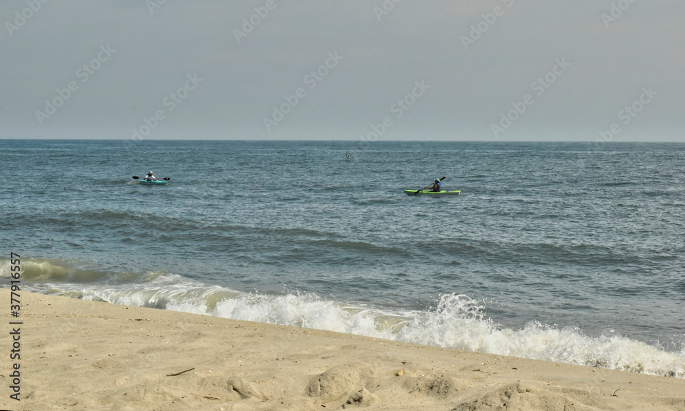 Kayakers watching a seagull off the beach in Cape May, NJ